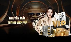 Tổng quan về khuyến mãi Vin88